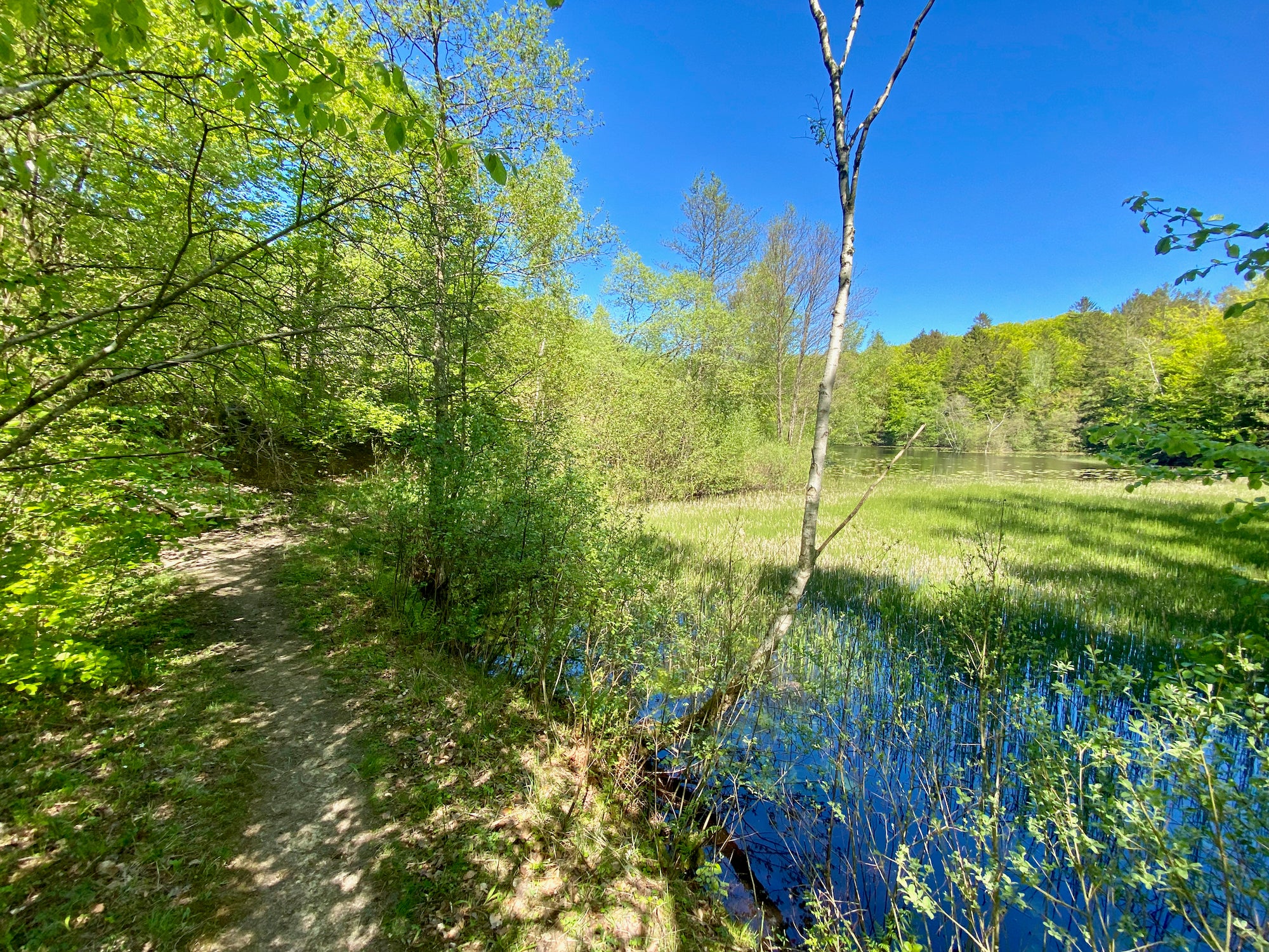 Nordjylland (Hjørring) - områder