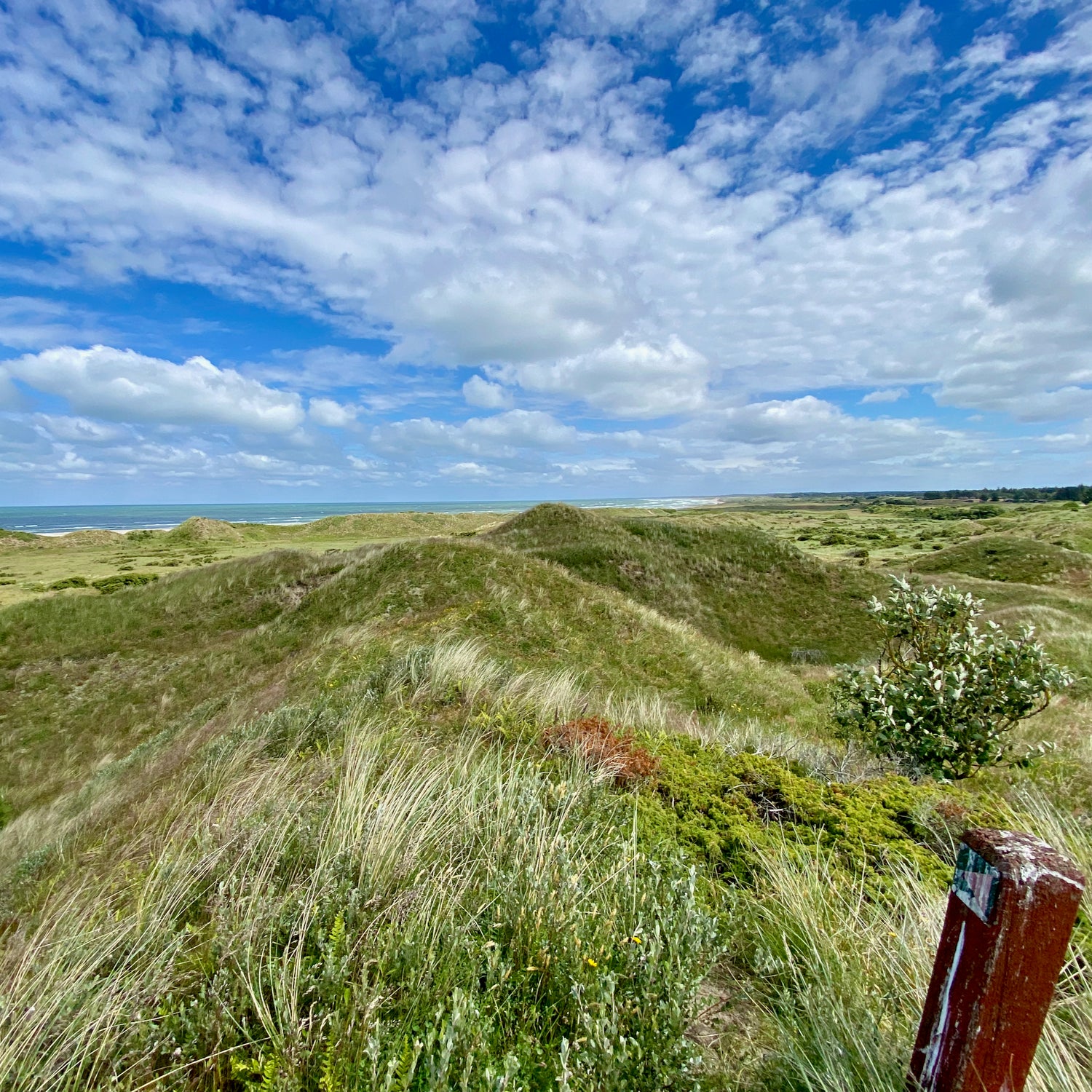 1 dag i Nordjylland (Hjørring)