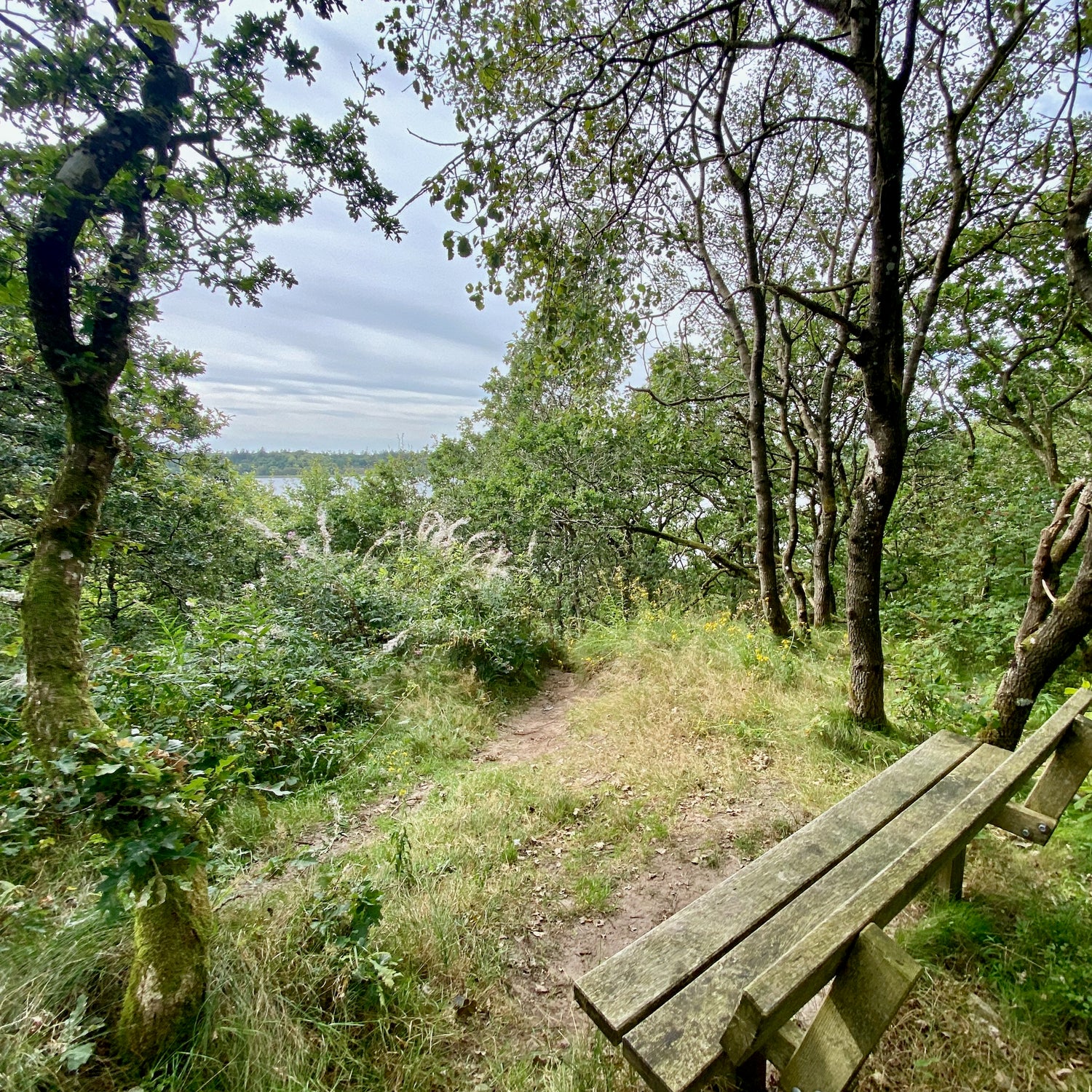 1 dag på Salling og Fur