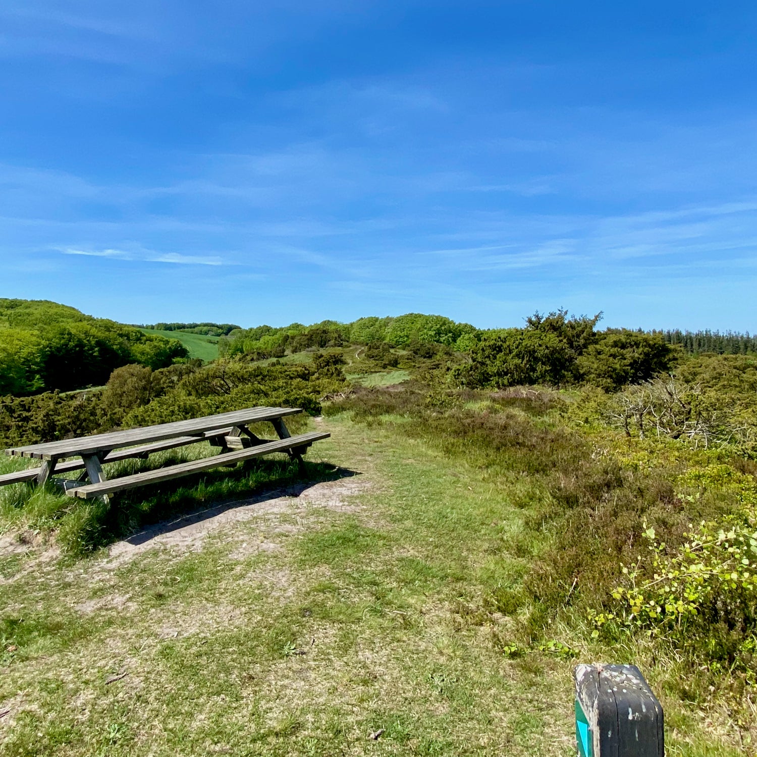 2 dage i Nordjylland (Hjørring)