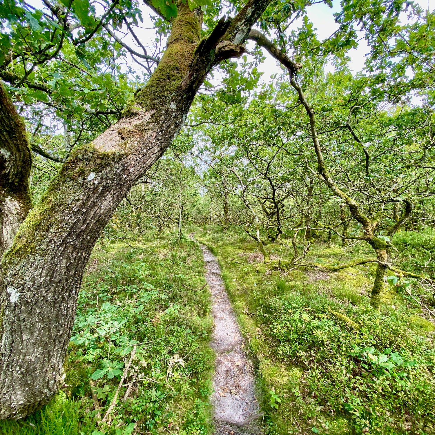 2 dage på Salling og Fur