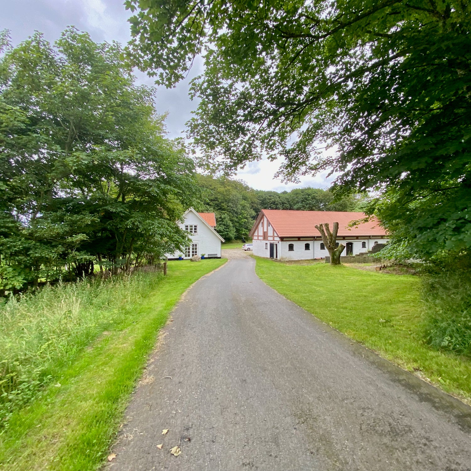 Åsted Ådal - Nordjylland (Frederikshavn-Skagen)