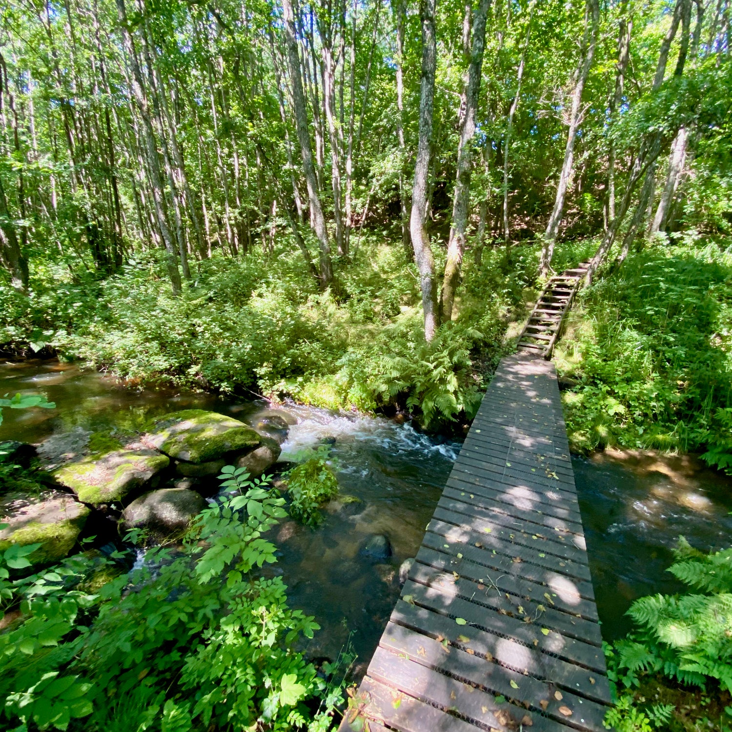 Åsted Ådal - Nordjylland (Frederikshavn-Skagen)