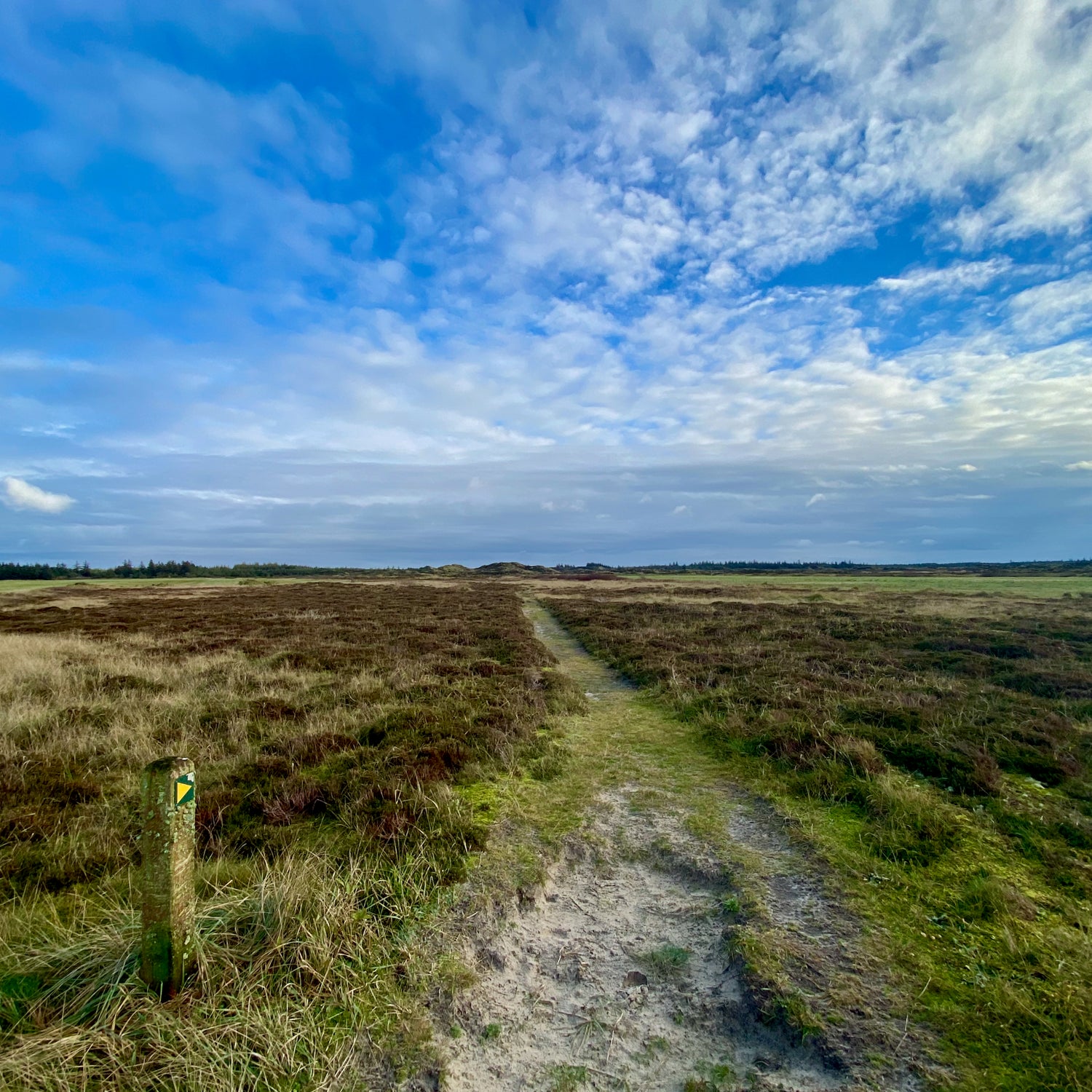 Tranum & moserne - Jammerbugt