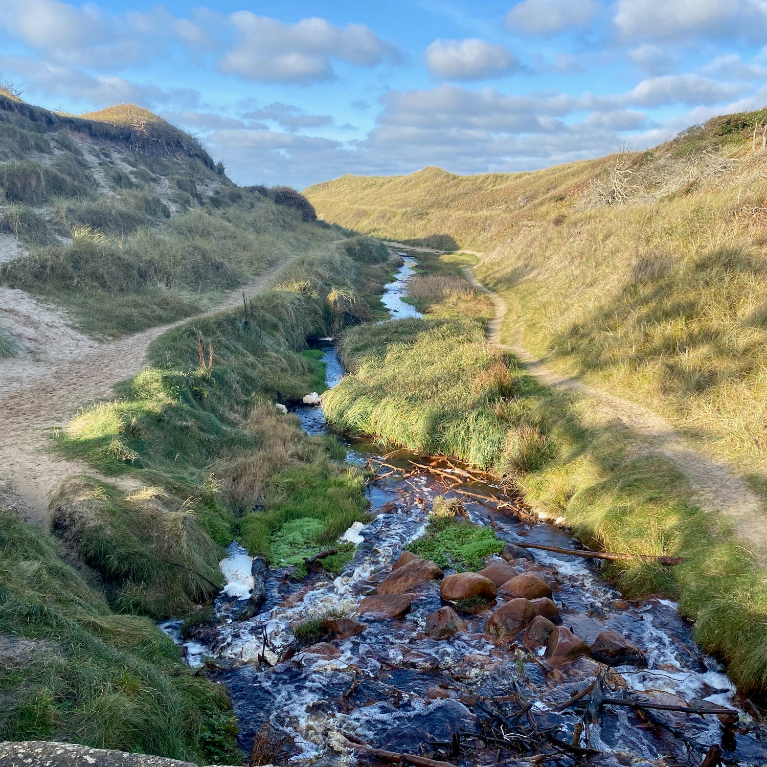 1 dag i Nationalpark Thy