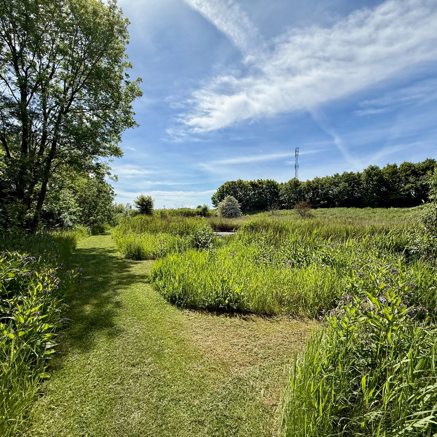 Bøvlingbjerg & Møborg Bakkeø