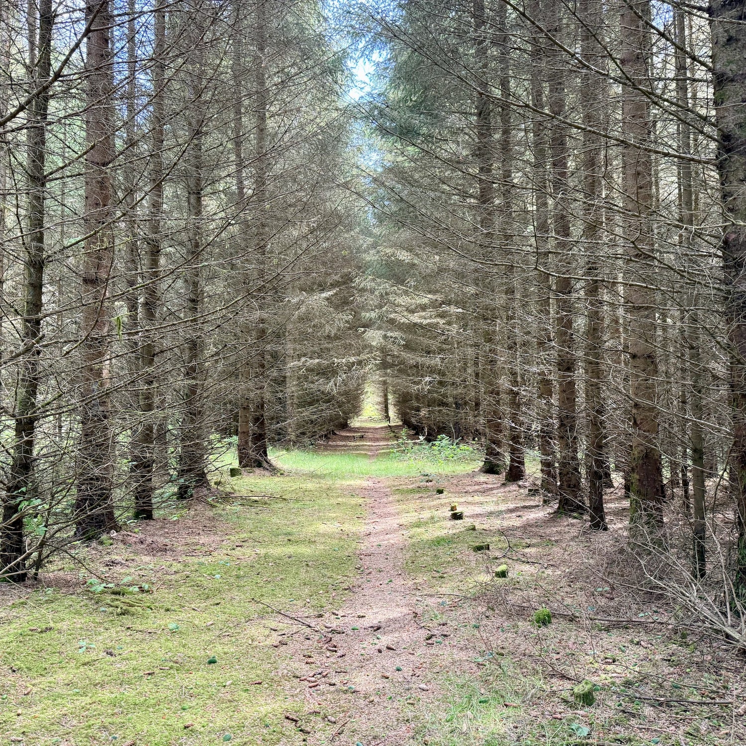 Bøvlingbjerg & Møborg Bakkeø