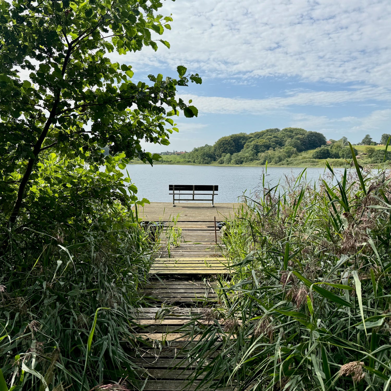 Borbjerg, Ryde & Feldborg