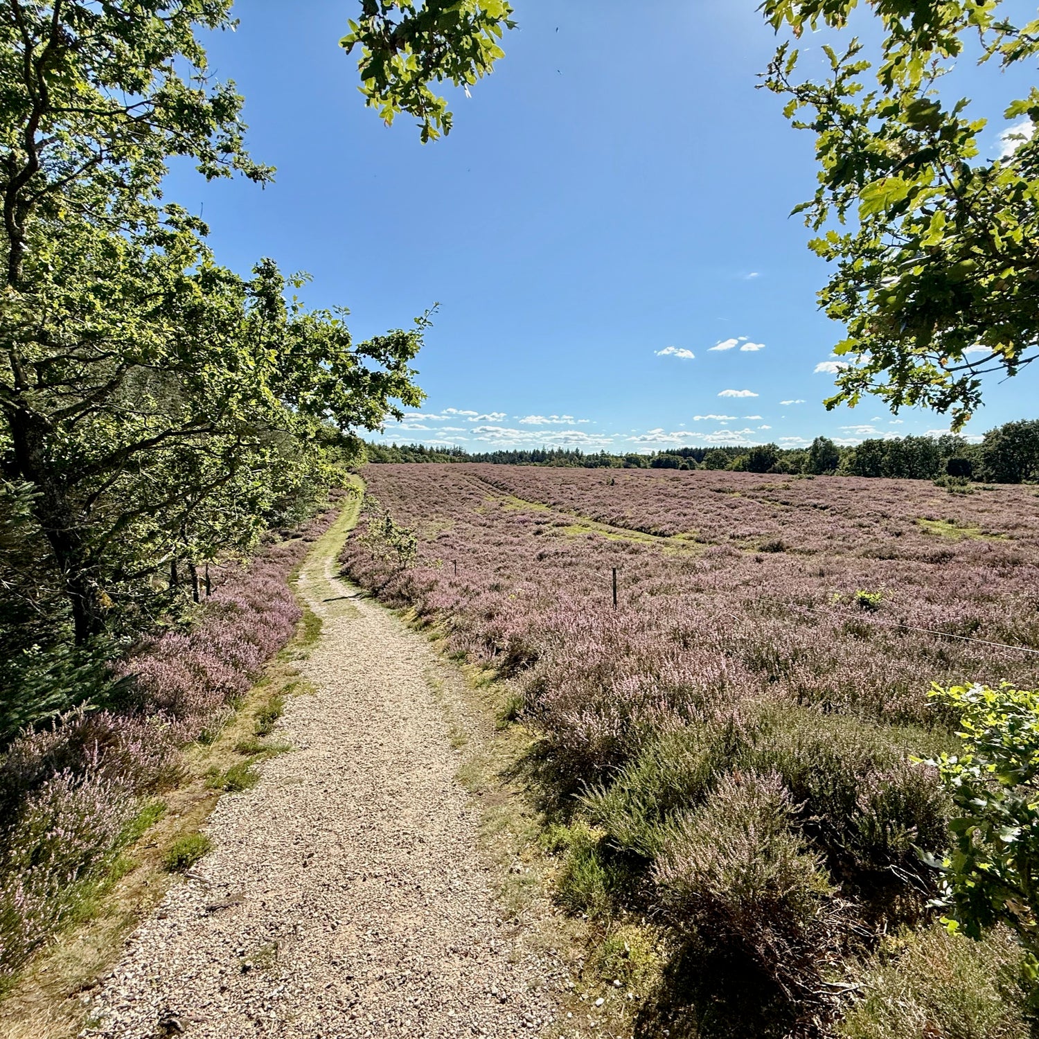 Ejsing, Skånsø & Ådalen
