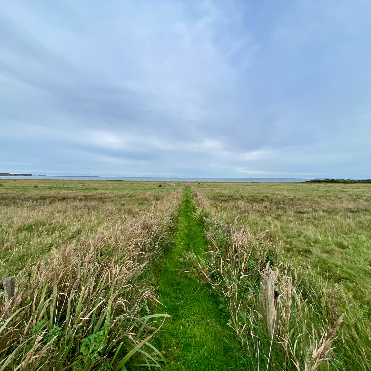 Feggeklit & Den blå lagune - Mors