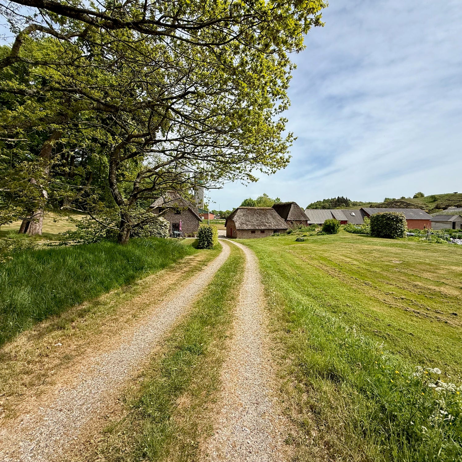 Trælborgdalen og Gudernes Land