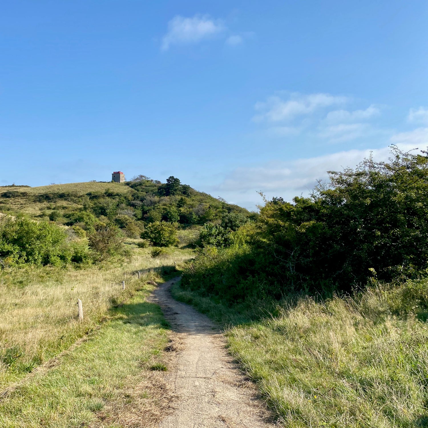 Helgenæs & Skødshoved