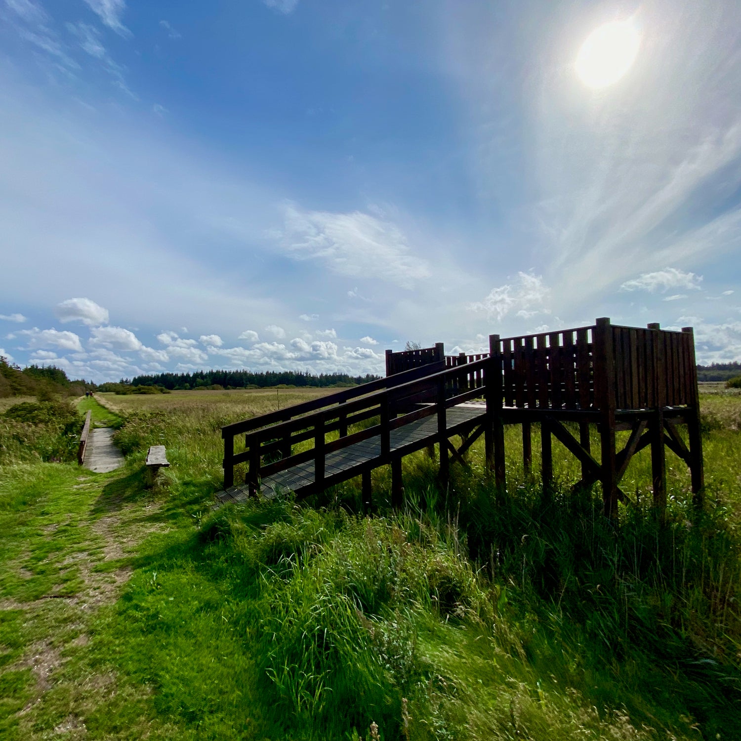 Mågeodde og Årbjerg Torn - Mors