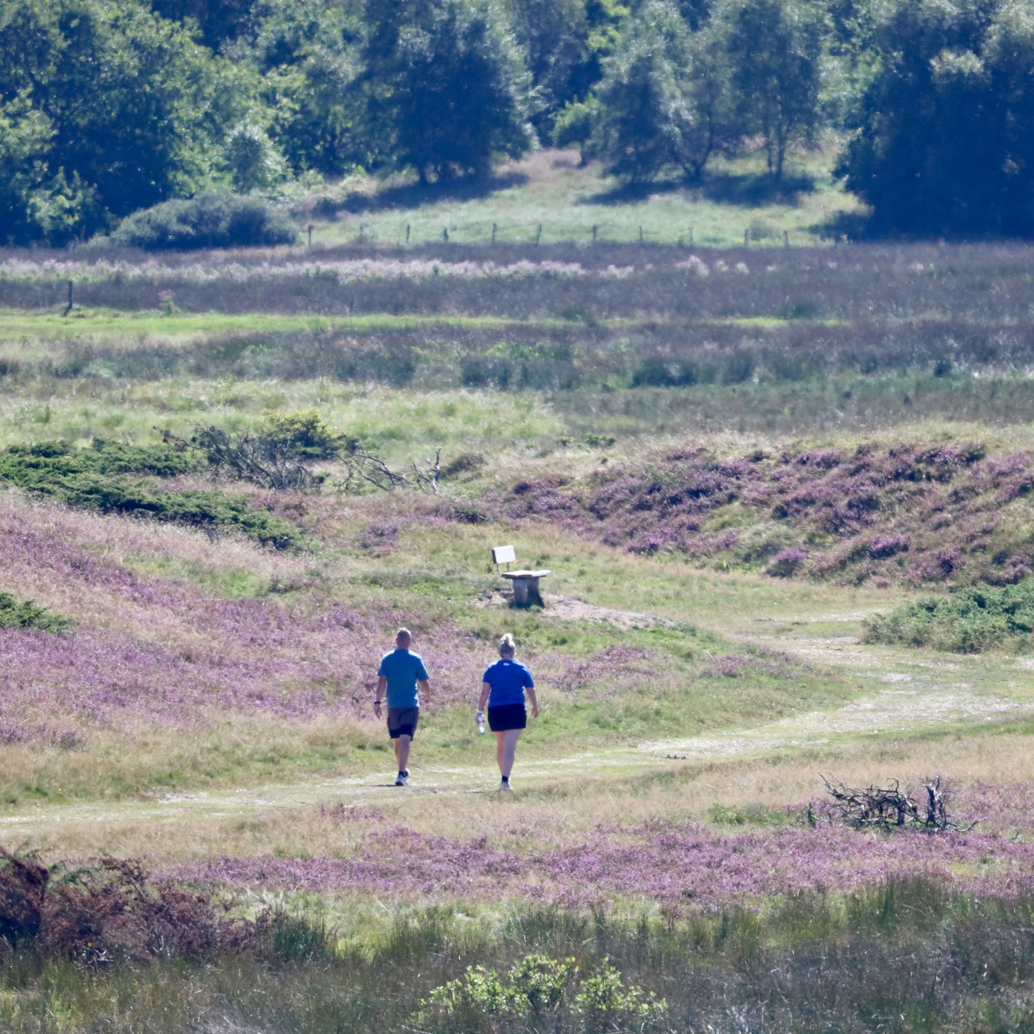 2 days in West Jutland (Holstebro)