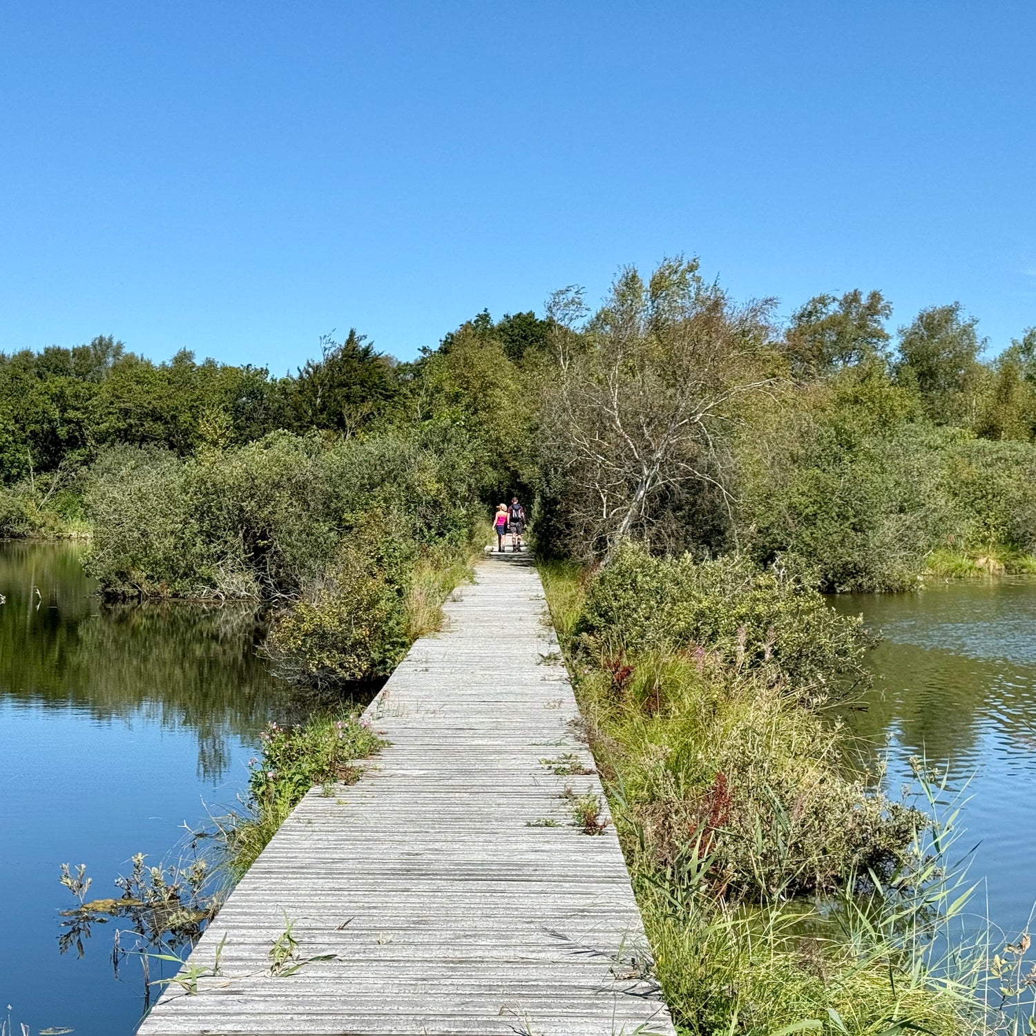 3 days in West Jutland (Holstebro)