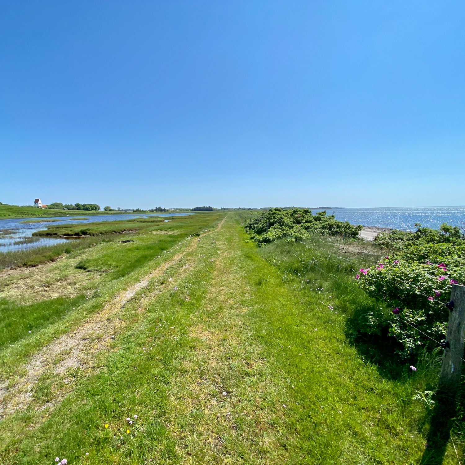 Jegindø & Tambohus - Vestjylland (Struer)