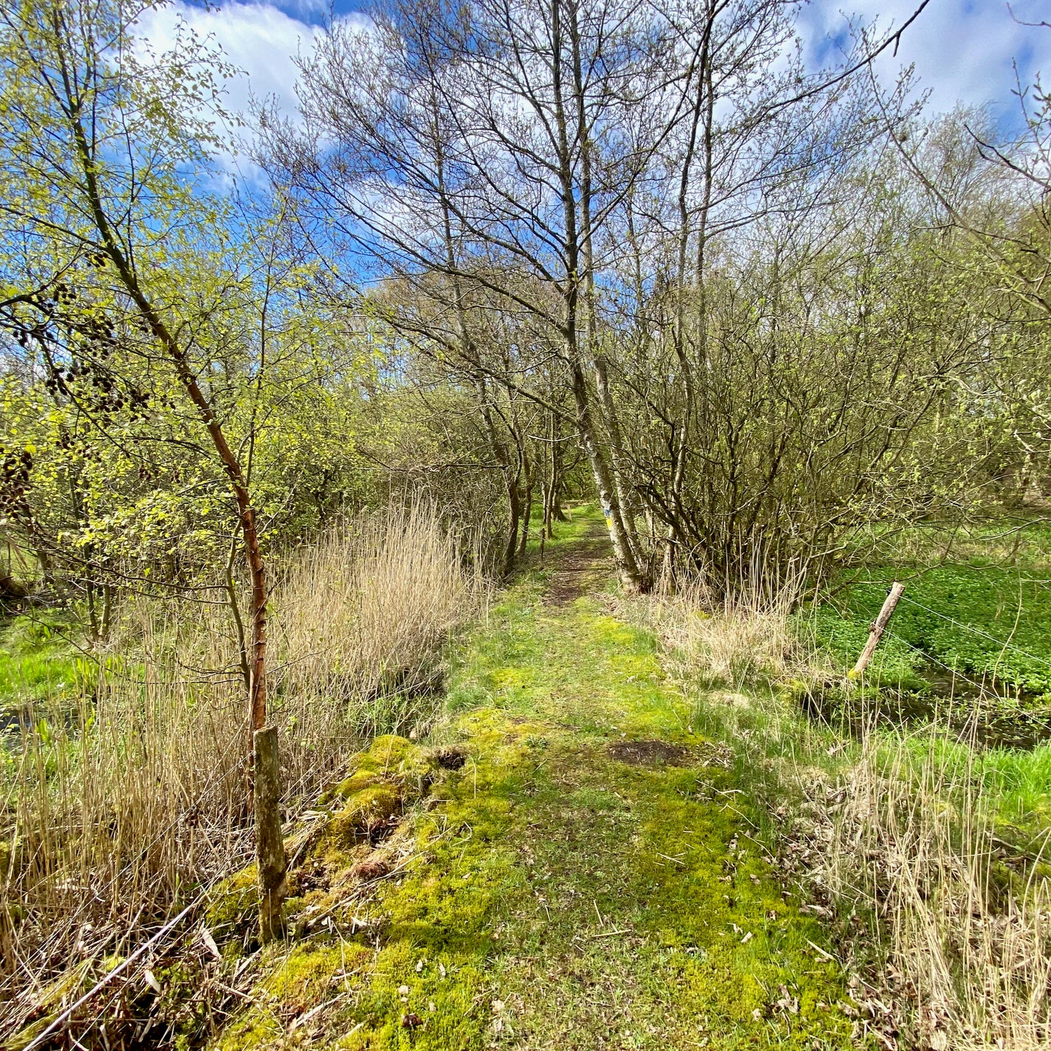 Jegindø & Tambohus - Vestjylland (Struer)