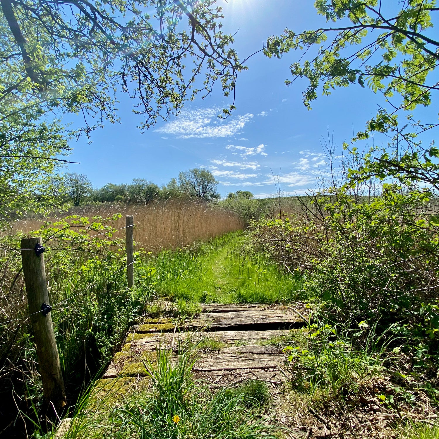 Jegindø & Tambohus - Vestjylland (Struer)