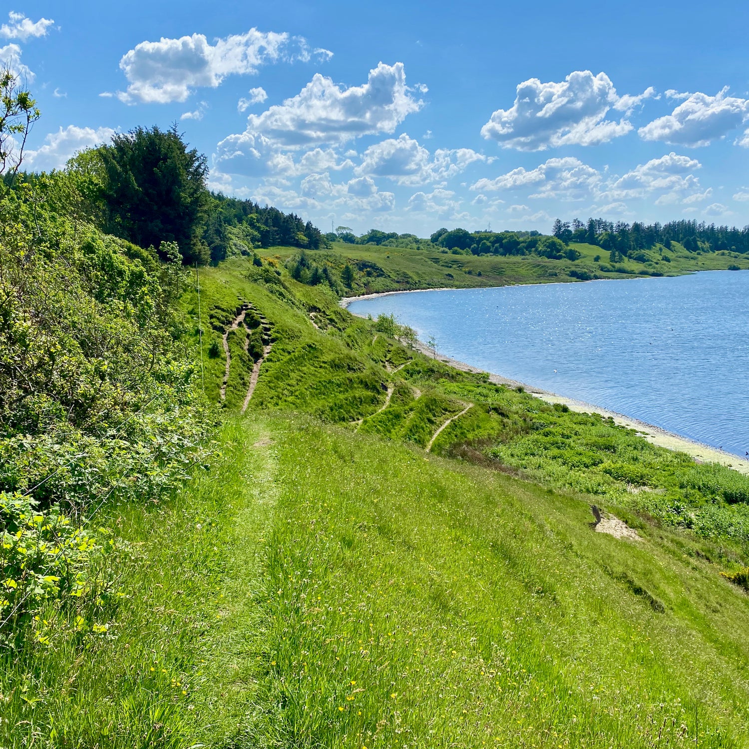 Kilen - Vestjylland (Struer)