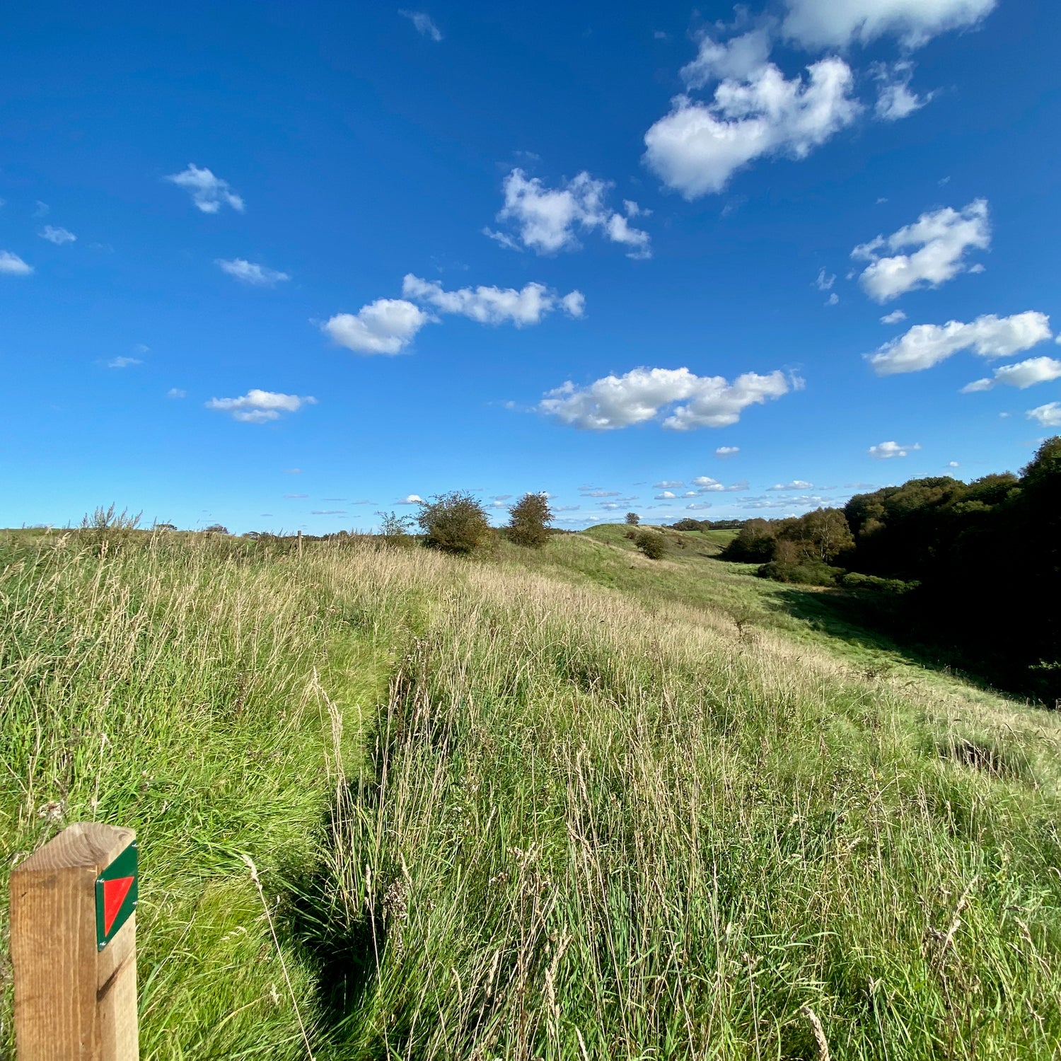 Legind Bjerge - Mors