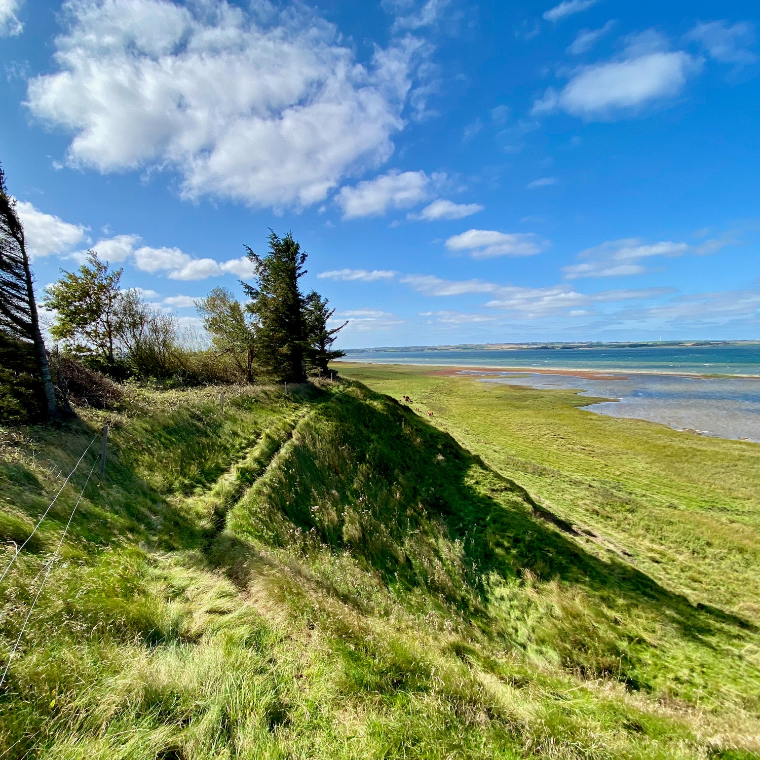 Mågeodde og Årbjerg Torn - Mors