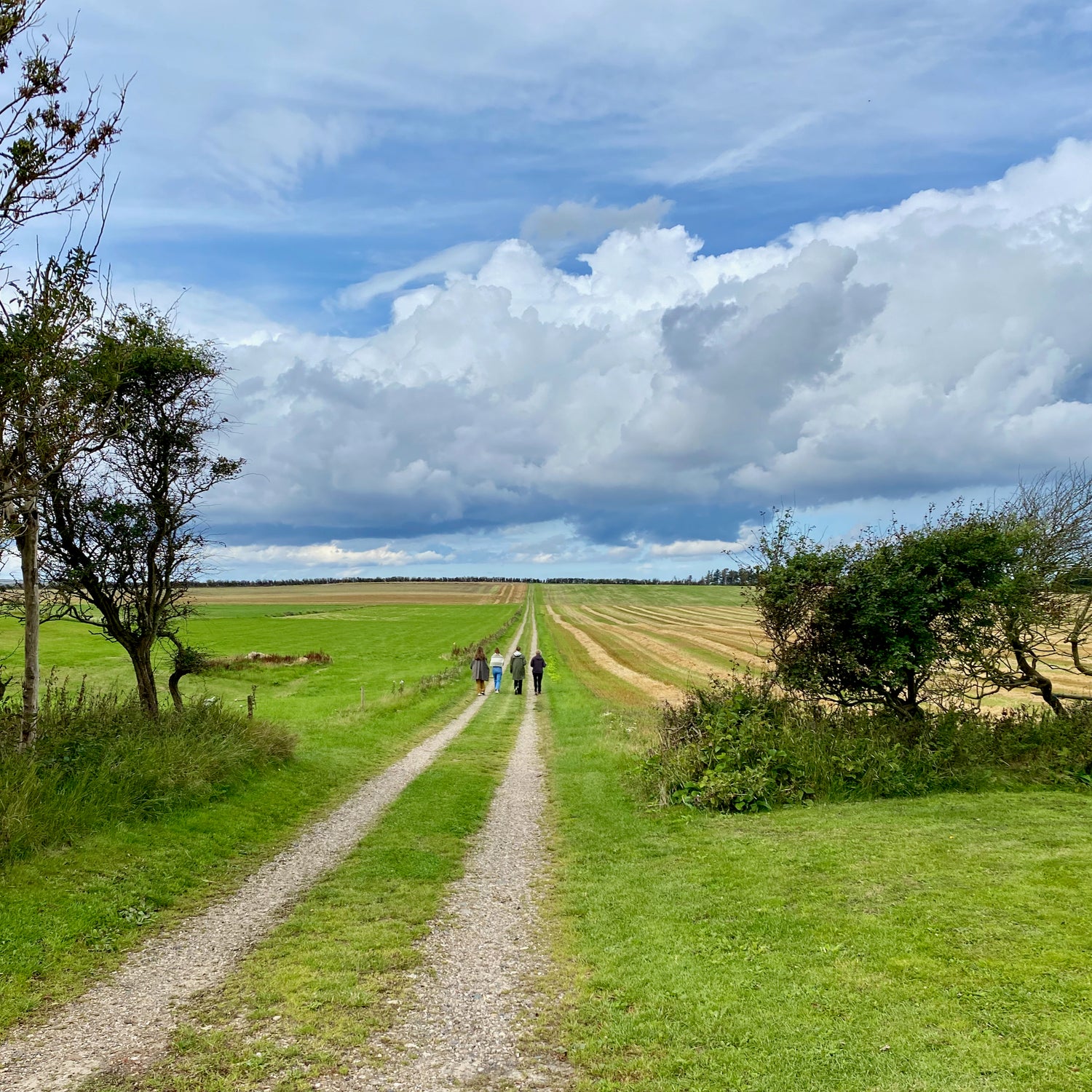 Mågeodde og Årbjerg Torn - Mors