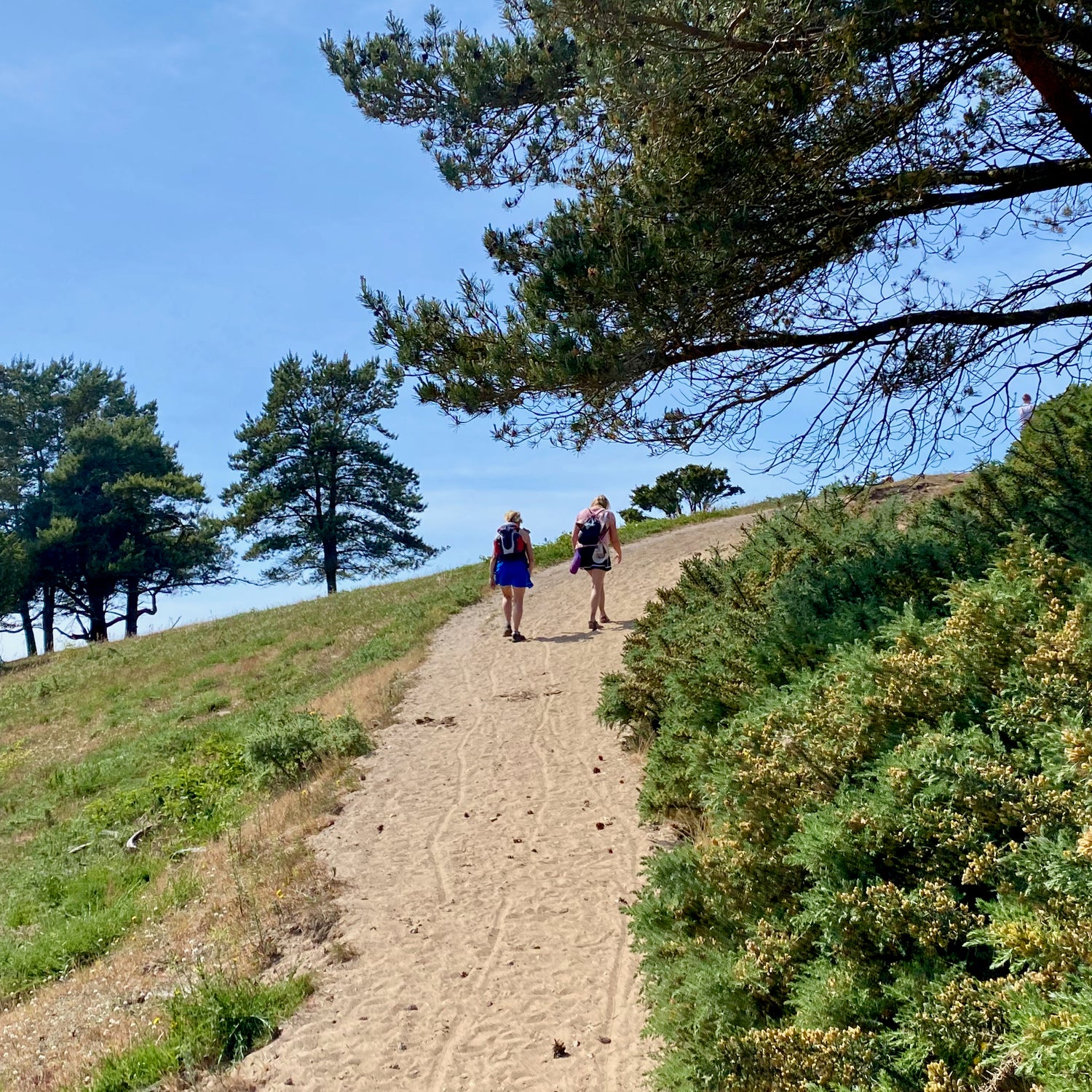 1 dag i Nationalpark Mols Bjerge