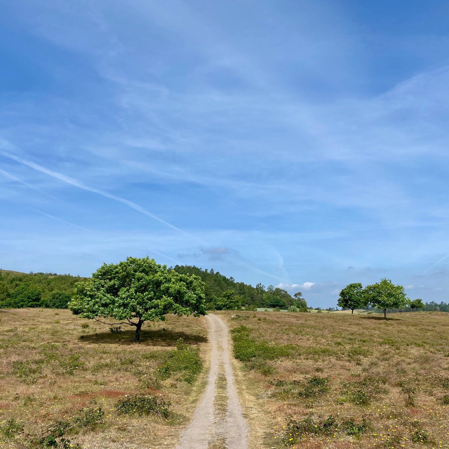 1 dag i Nationalpark Mols Bjerge