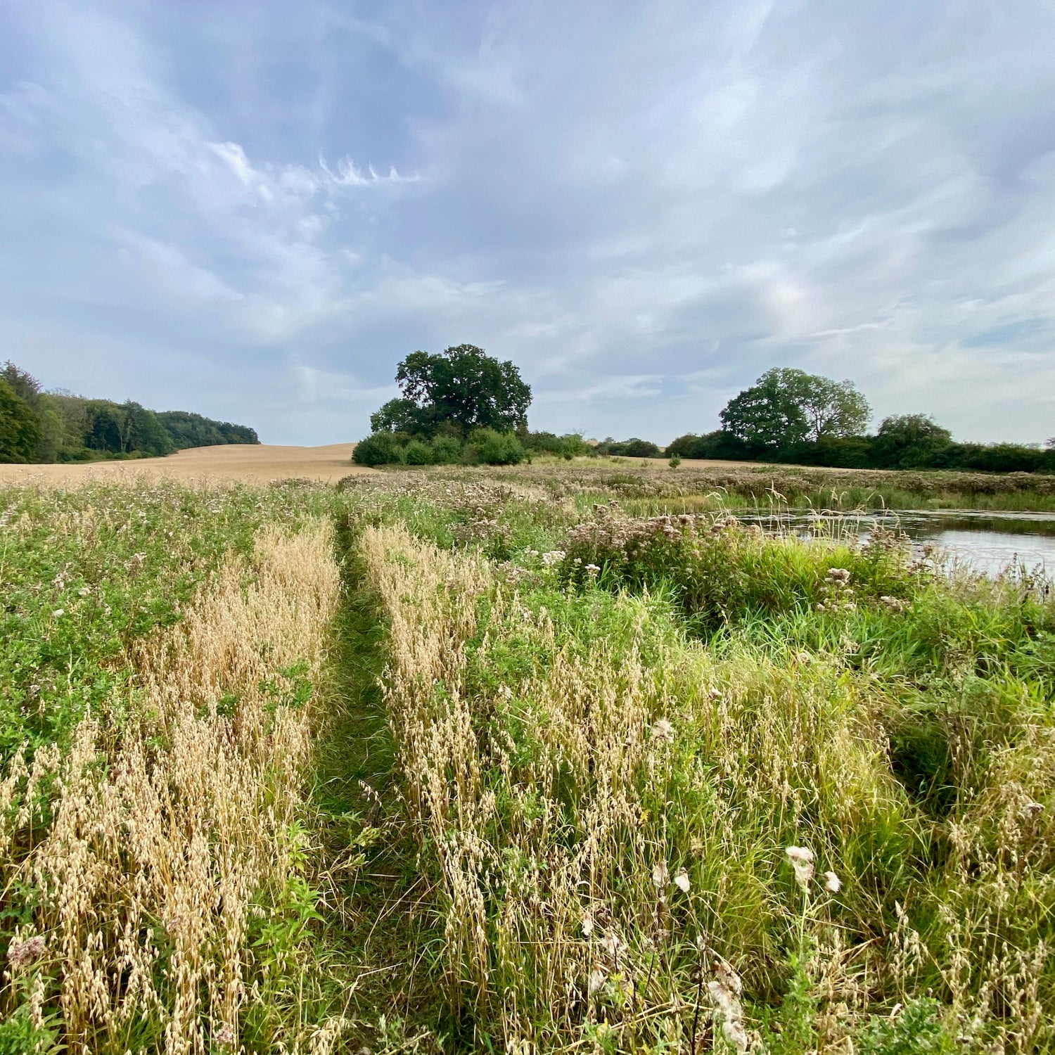 Mols Bjerge National Park - Kalø