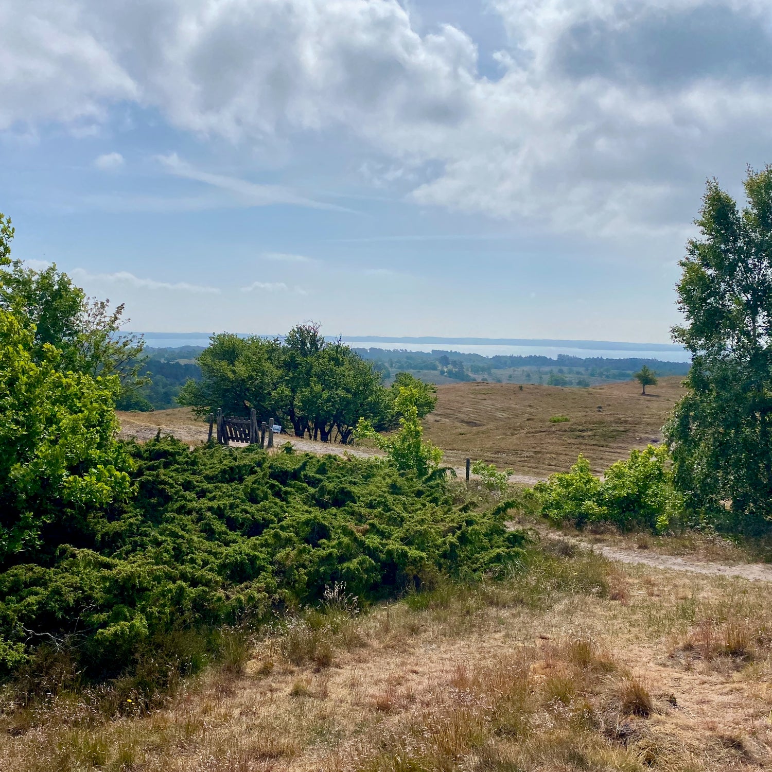 Mols Bjerge National Park - the northern part