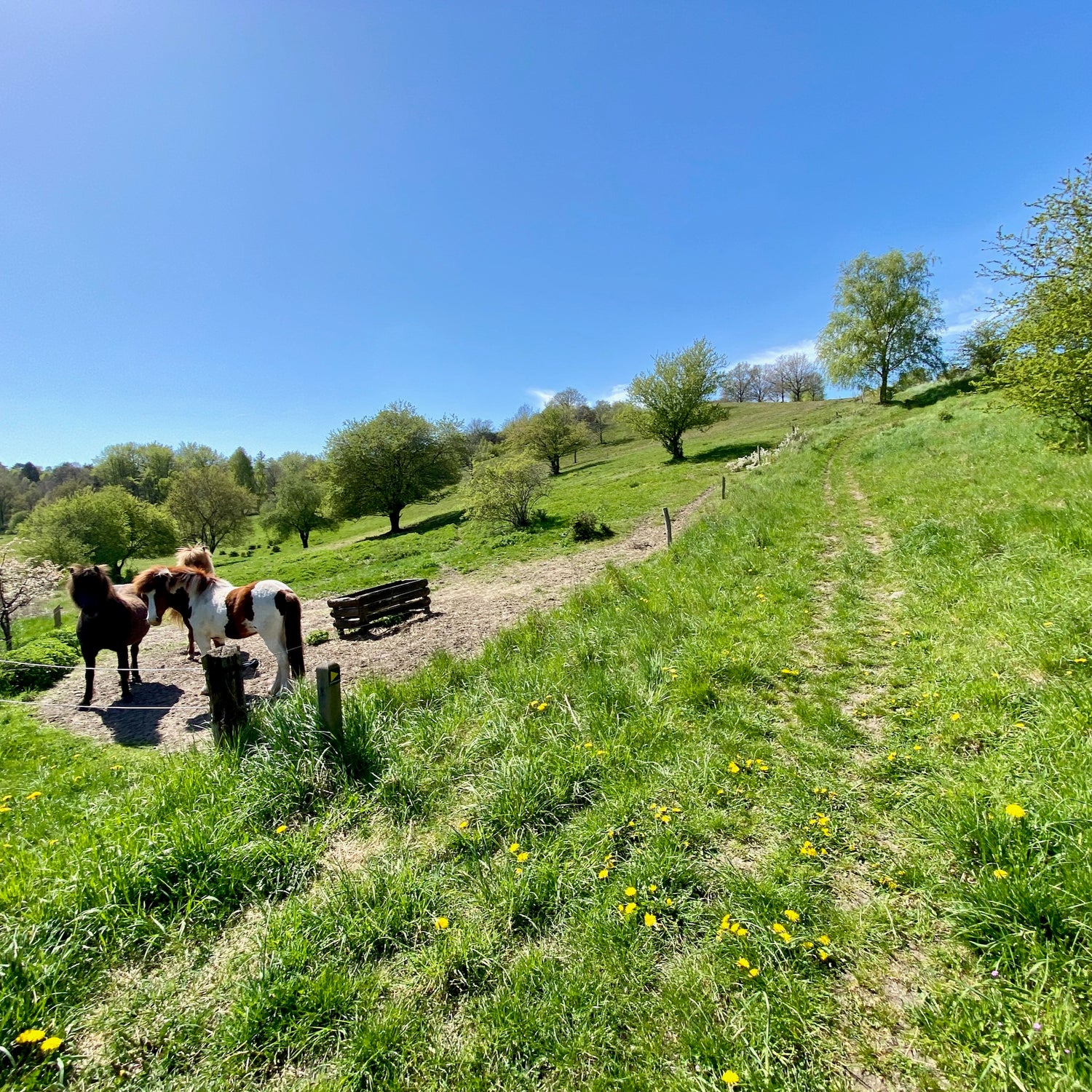 Mols Bjerge National Park - the northern part