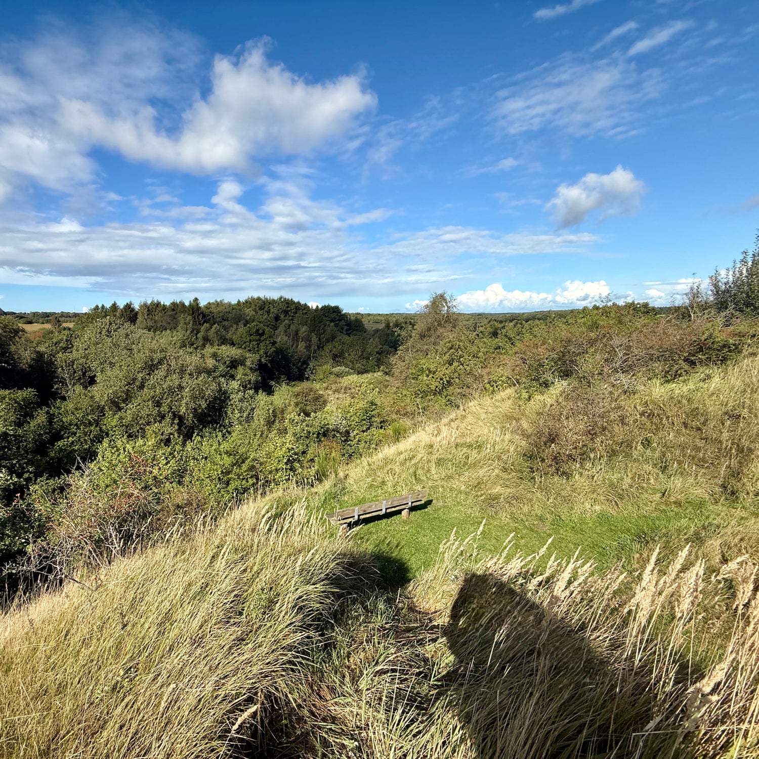 Borbjerg, Ryde & Feldborg