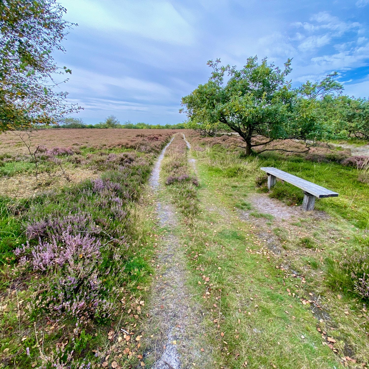 Naturpark Flyndersø - Sønder Lem Vig