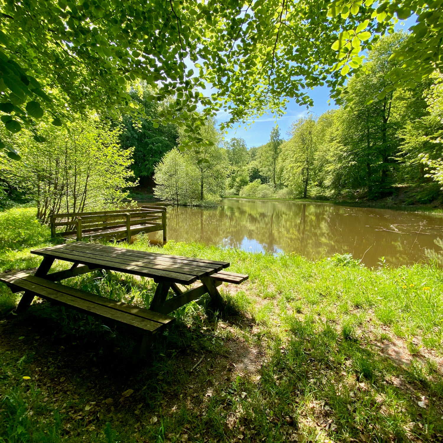 Naturpark Tolne - Hjørring