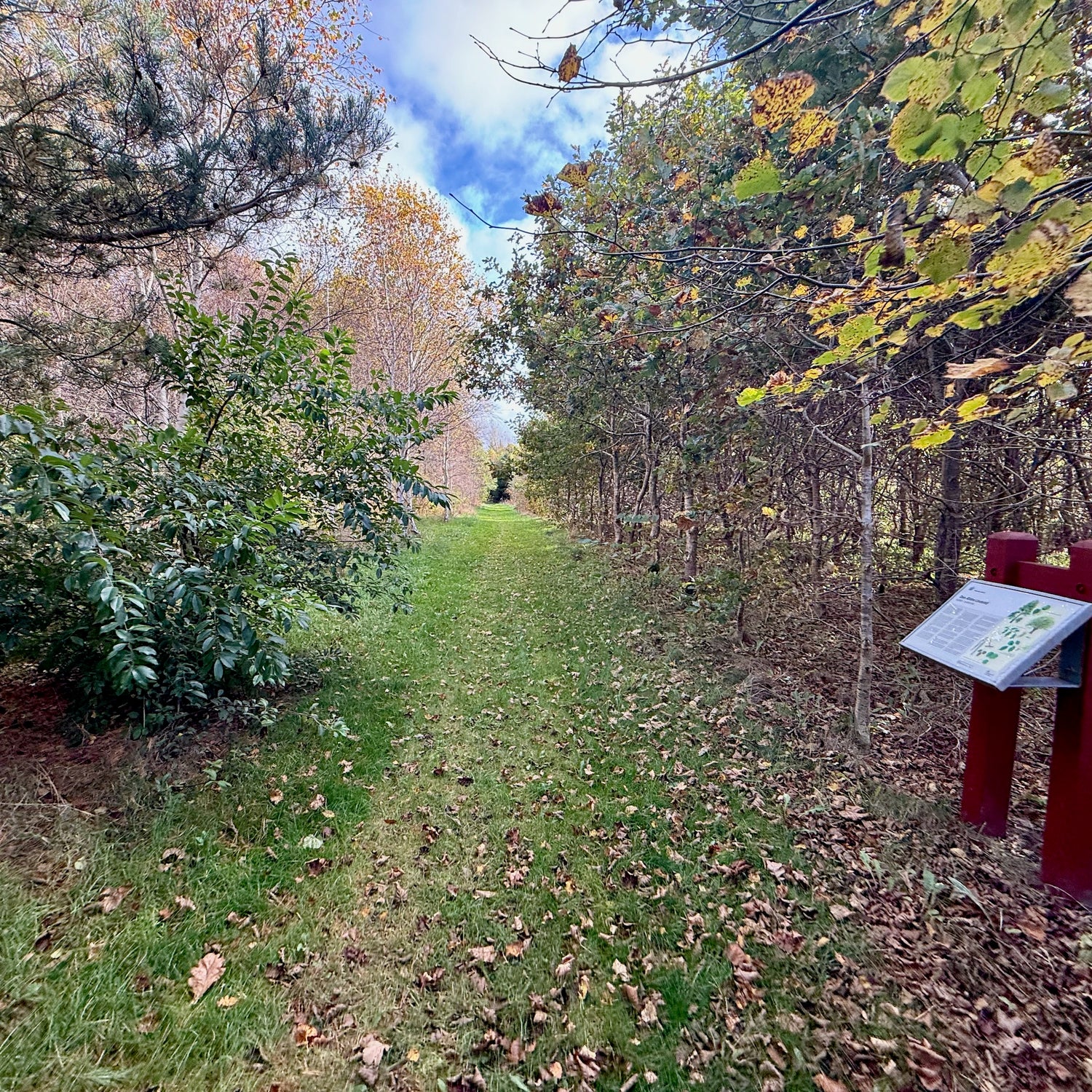 Nørre Vosborg & Skærum Mølle