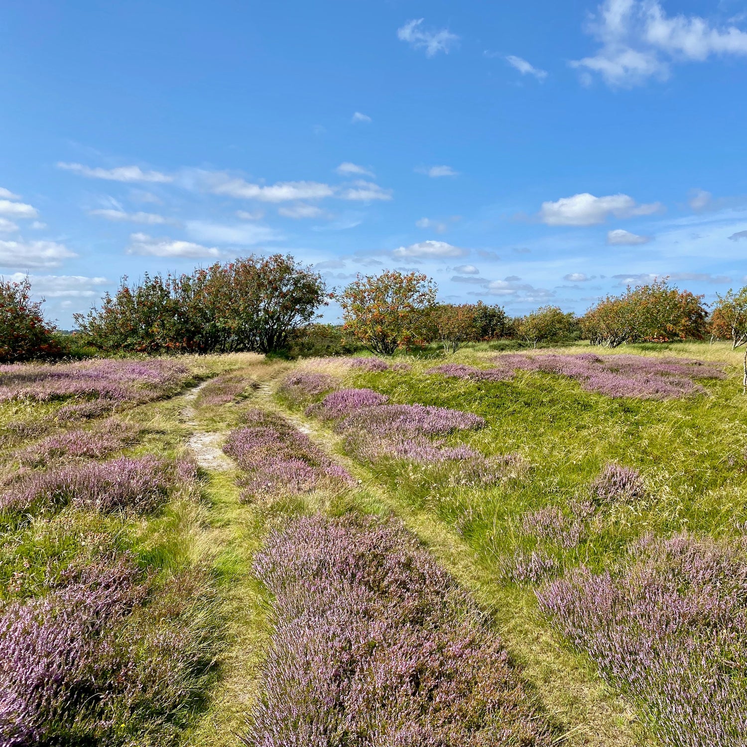 Salling - den nordvestlige del