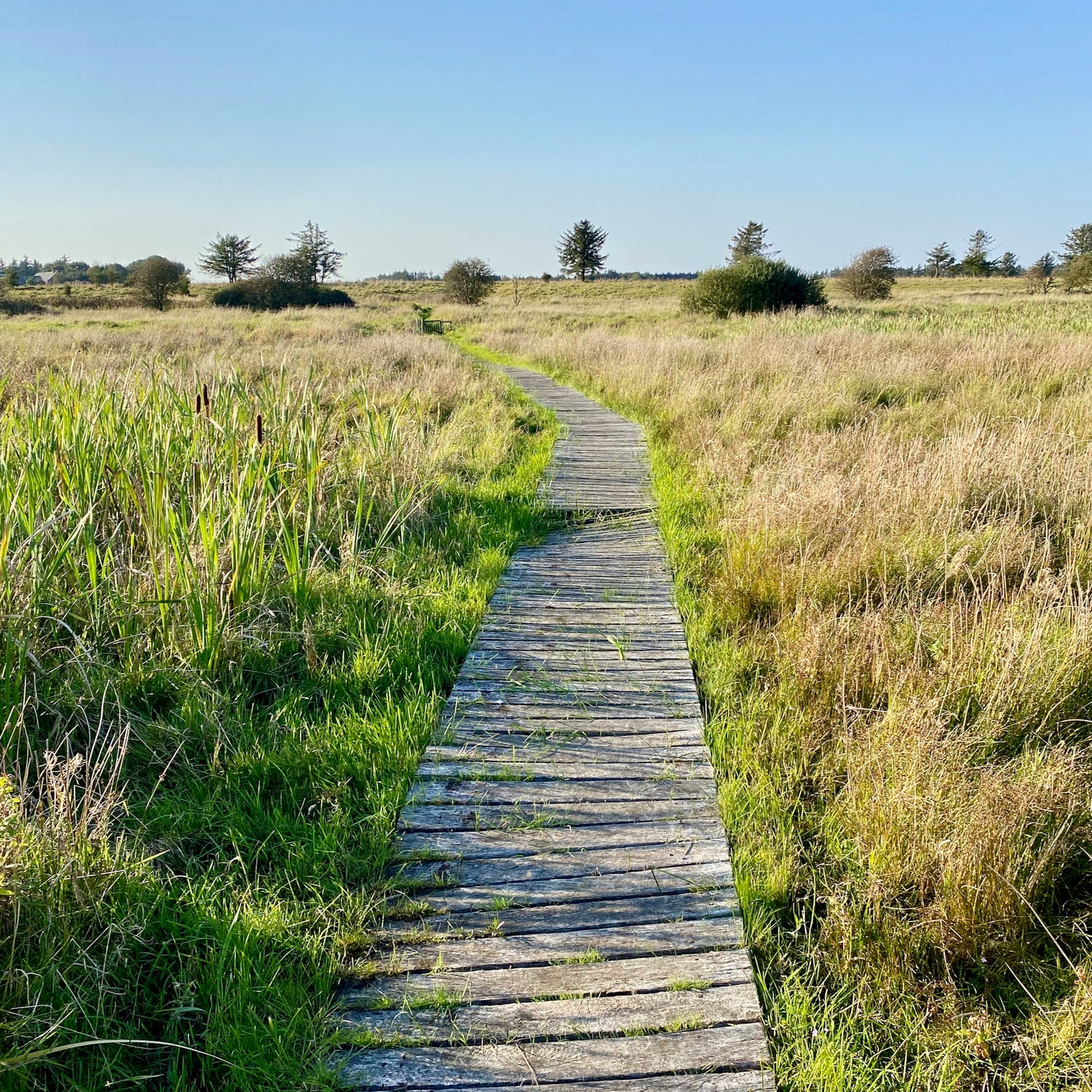 Salling - den sydvestlige del