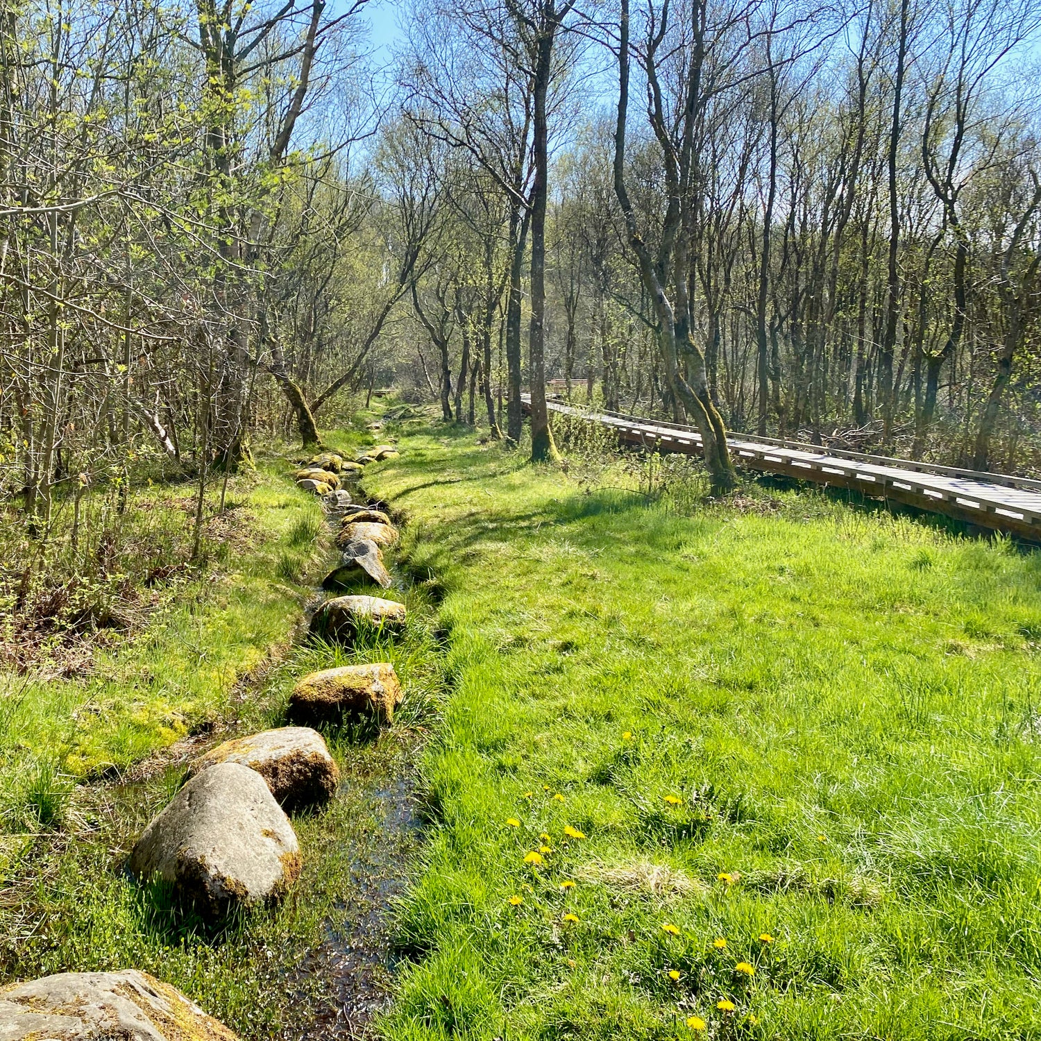 Saltum og Vildmosen - Jammerbugt