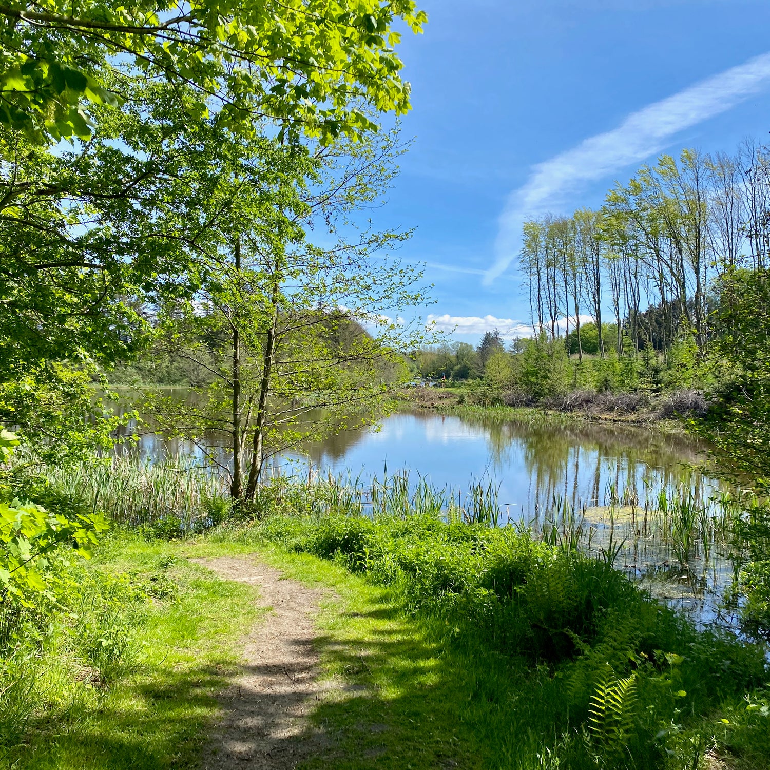 Saltum og Vildmosen - Jammerbugt