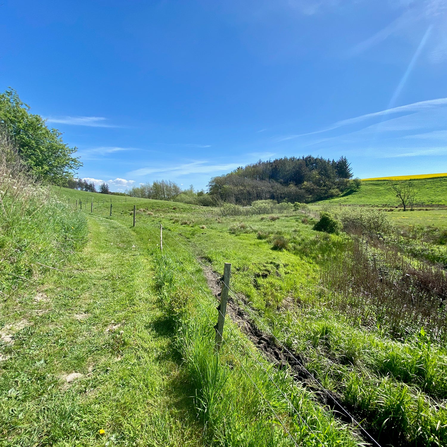 Saltum og Vildmosen - Jammerbugt