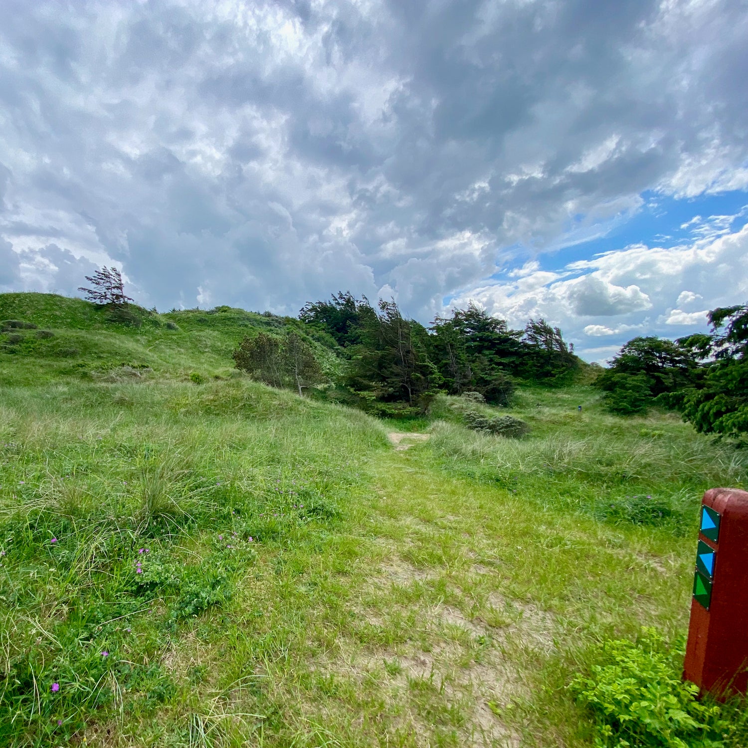 Skallerup Klit and Tornby Klitplantage - Hjørring