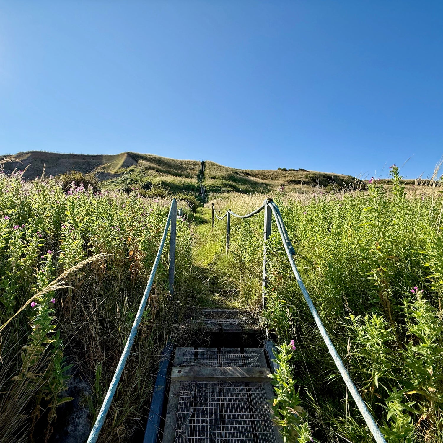 Skolernes landsby & Kabbelfredningen