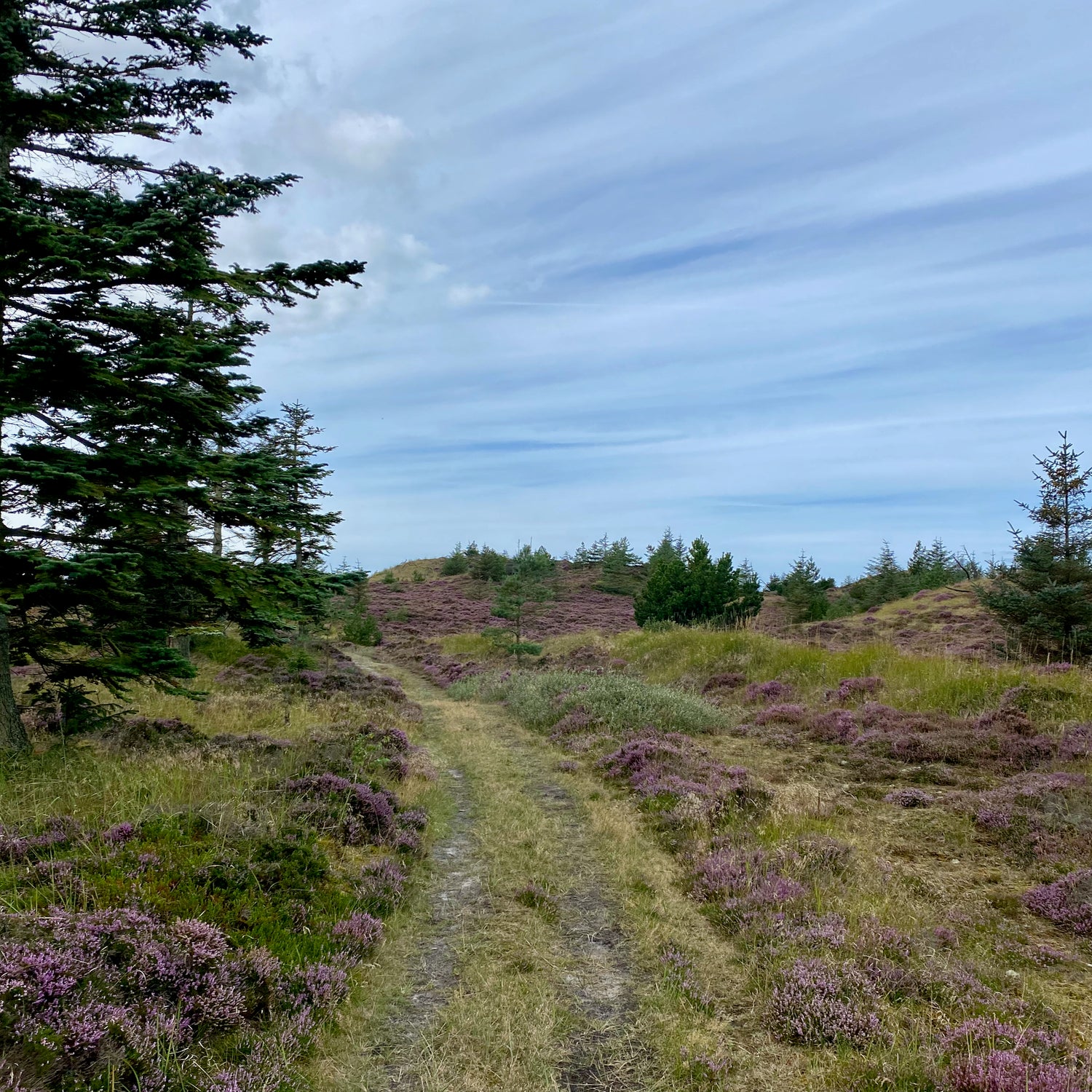 2 dage i Nationalpark Thy