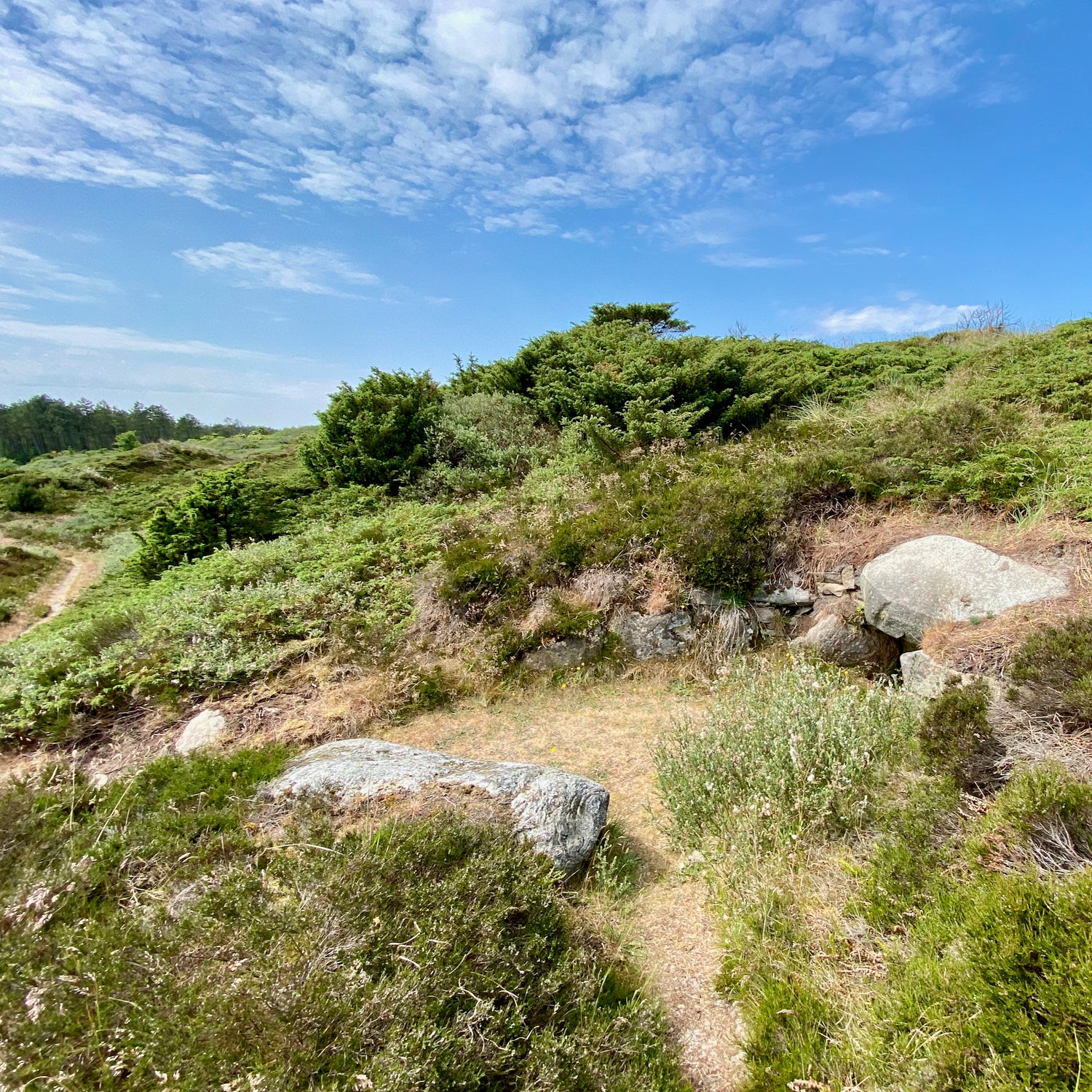 Svinkløv & Kollerup - Jammerbugt