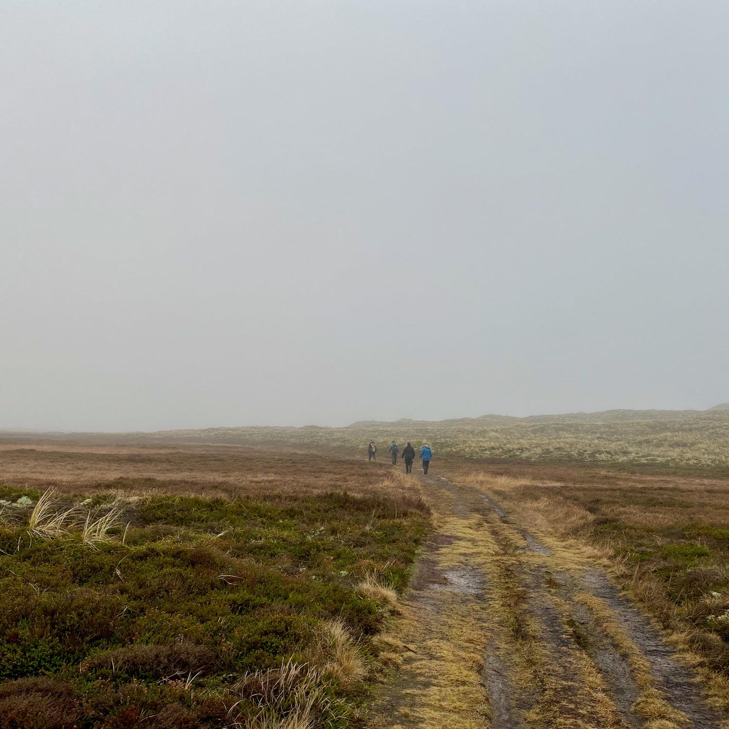 1 dag i Nationalpark Thy