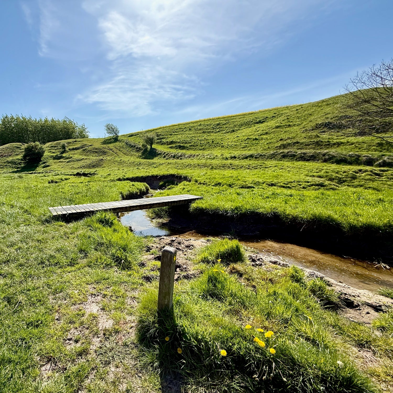 Trælborgdalen og Gudernes Land