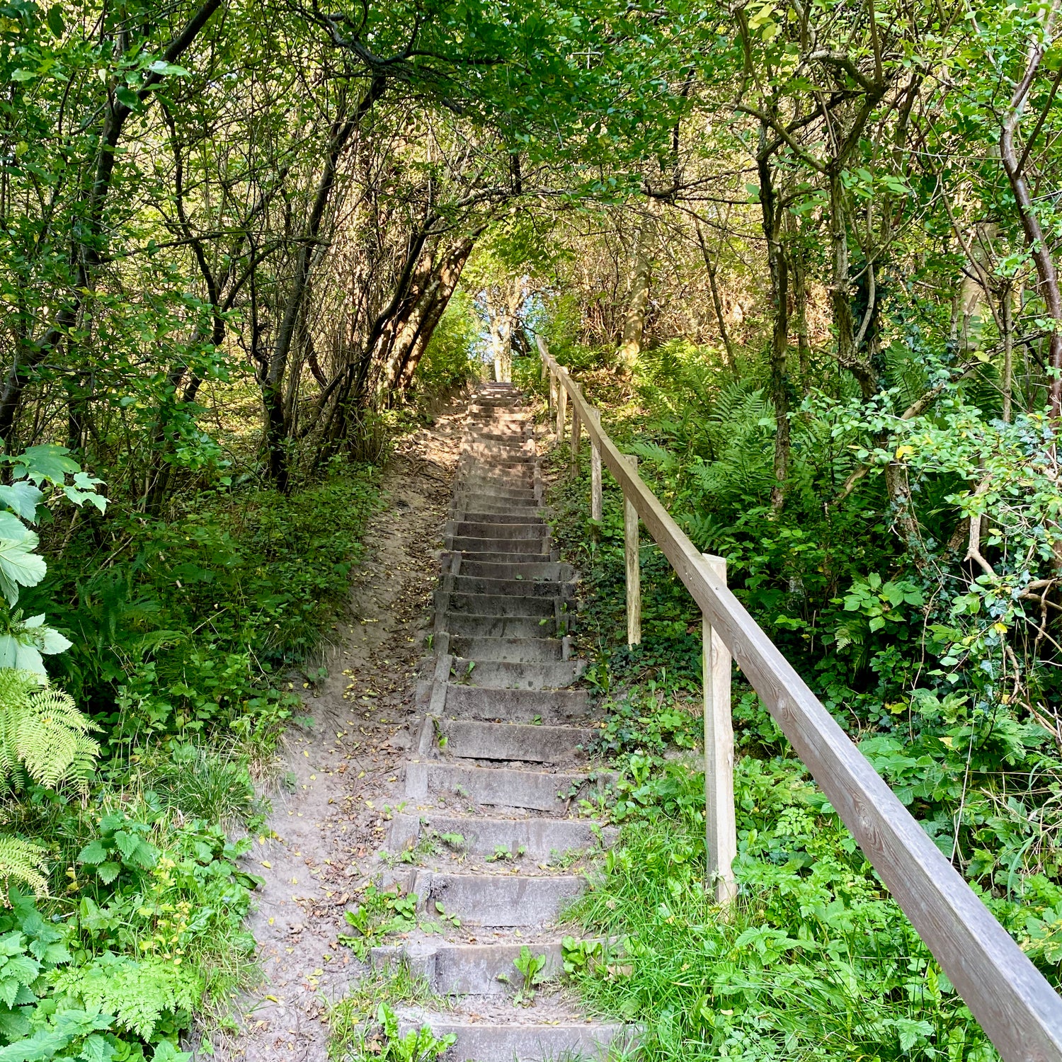 Fosdalen & Langdalen - Jammerbugt
