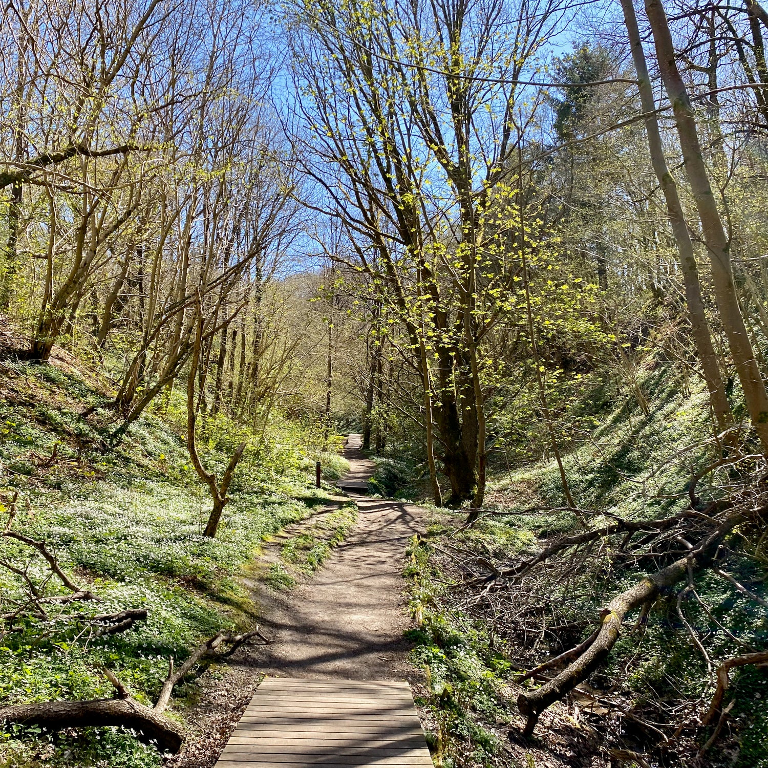 Fosdalen & Langdalen - Jammerbugt