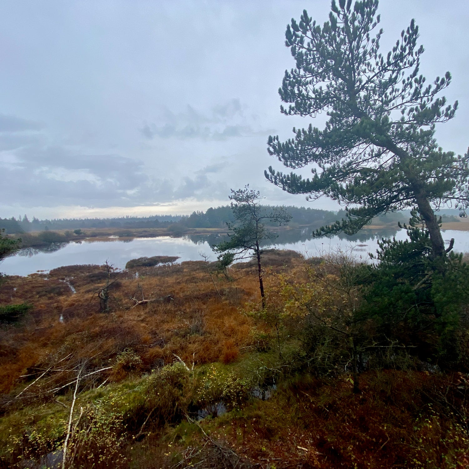 Tranum and the marshes - Jammerbugt