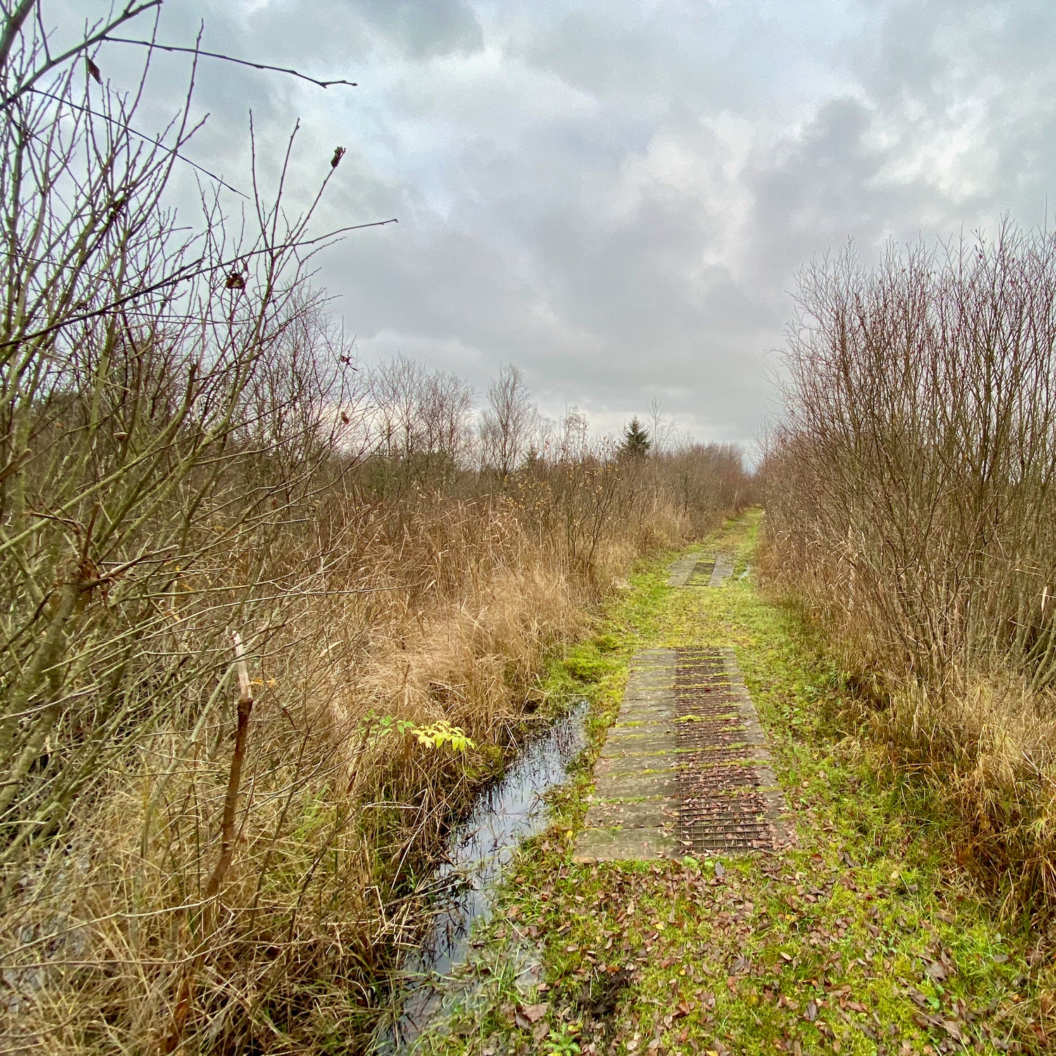 Tranum and the marshes - Jammerbugt